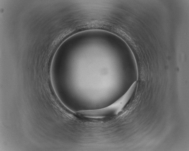X0000073470673200607281243