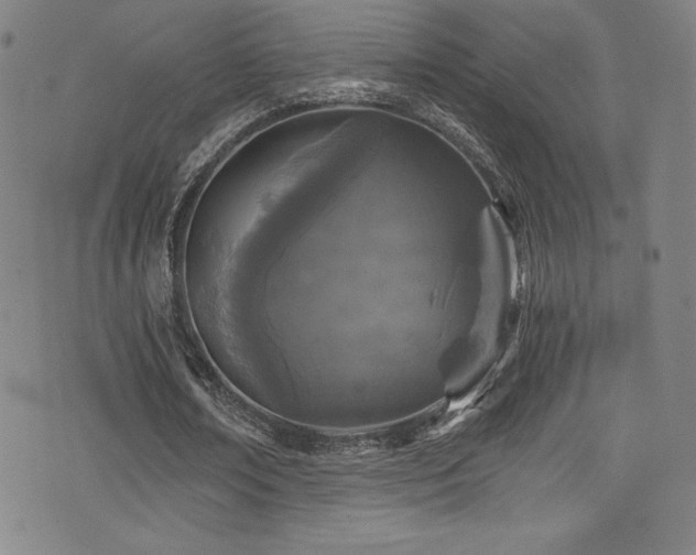 X0000073470674200607281243