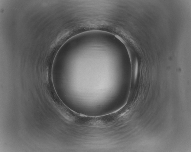 X0000073470685200607281243