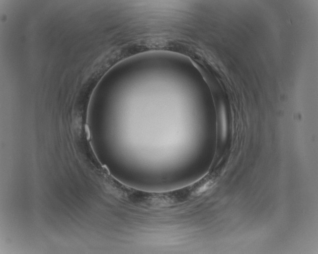 X0000073470697200607281243