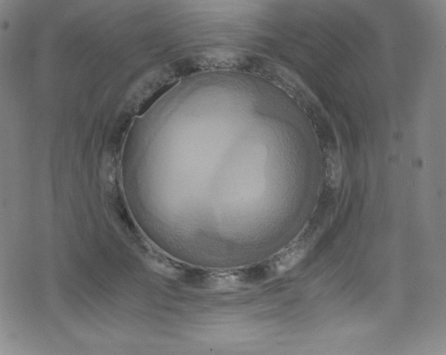 X0000073470701200607281243