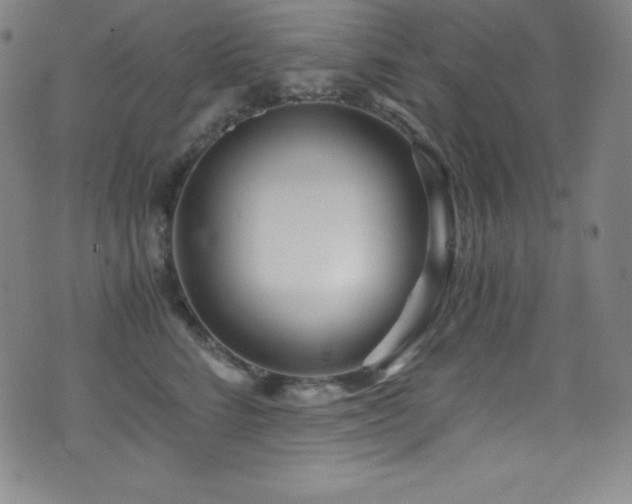 X0000073470712200607281243