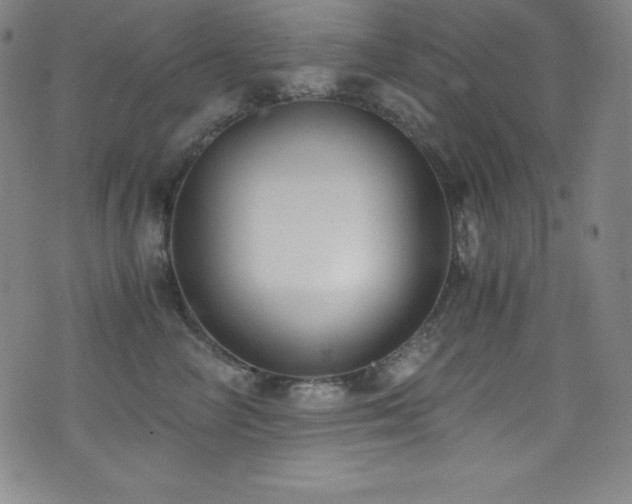 X0000073470714200607281243