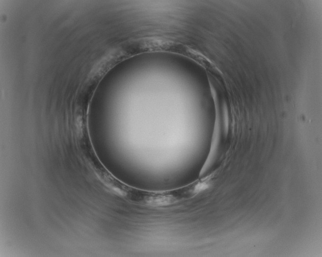 X0000073470716200607281243