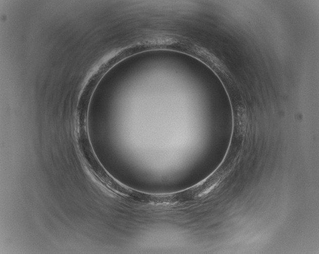 X0000073470726200607281242