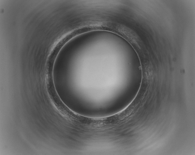 X0000073470728200607281242