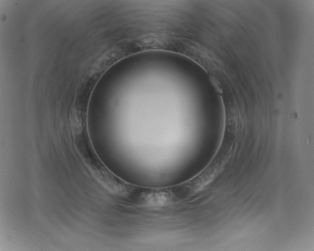 X0000073470751200607281242