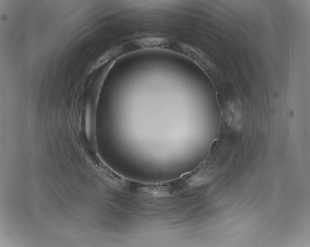 X0000073470763200607281242
