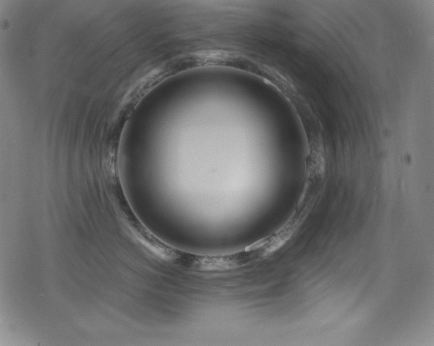 X0000073470766200607281243