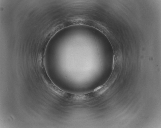 X0000073470767200607281243