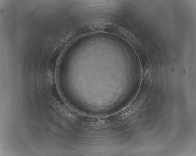 X0000073470772200607281242