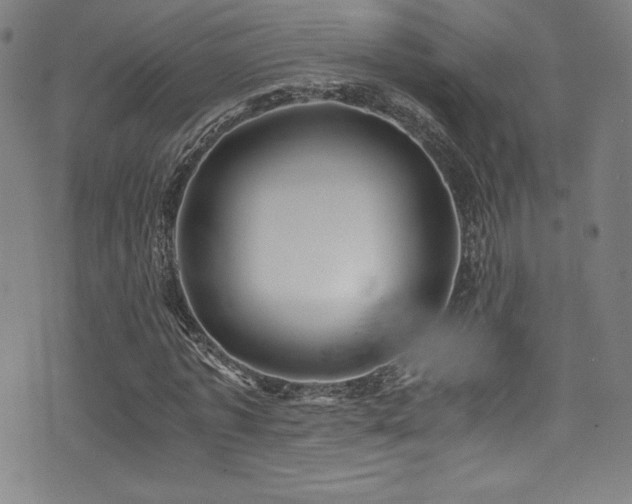X0000073470773200607281242