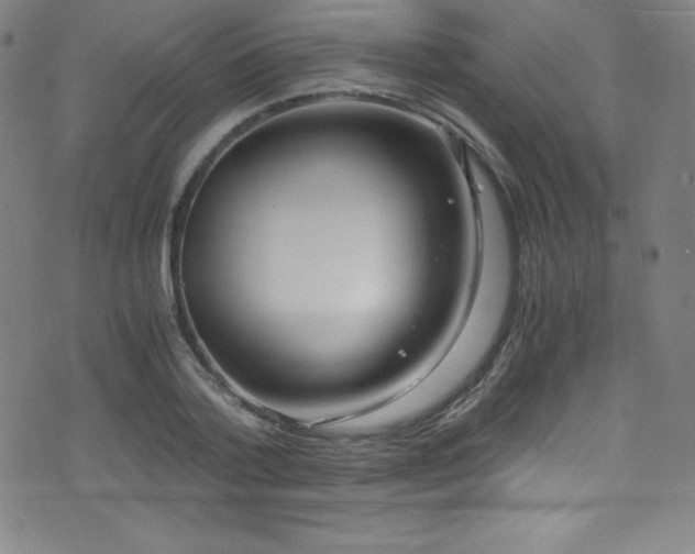 X0000073470788200607281241