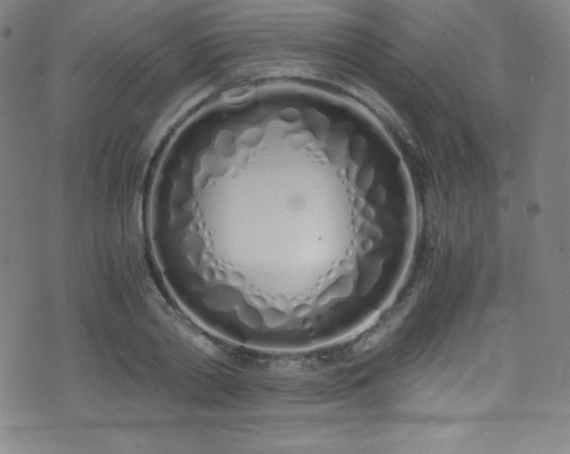 X0000073470790200607281241