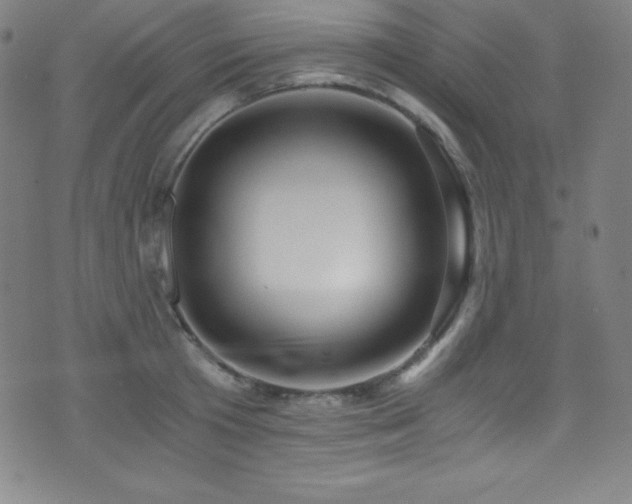 X0000073470801200607281241
