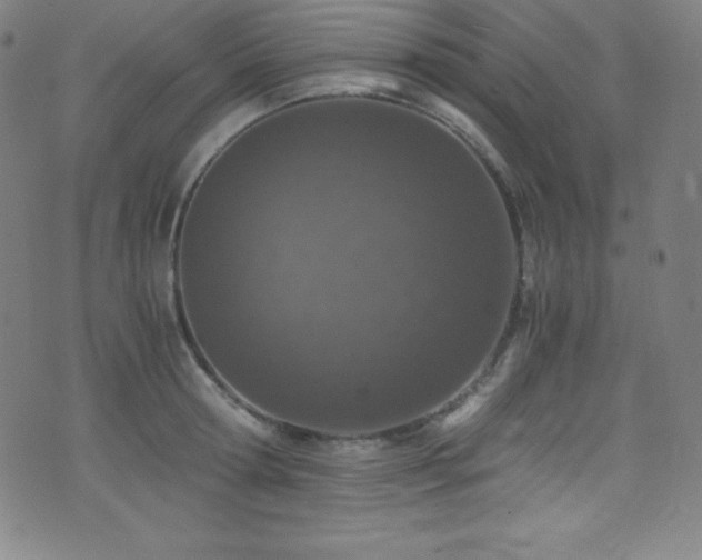X0000073470802200607281241