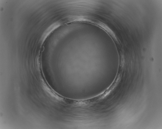 X0000073470806200607281241