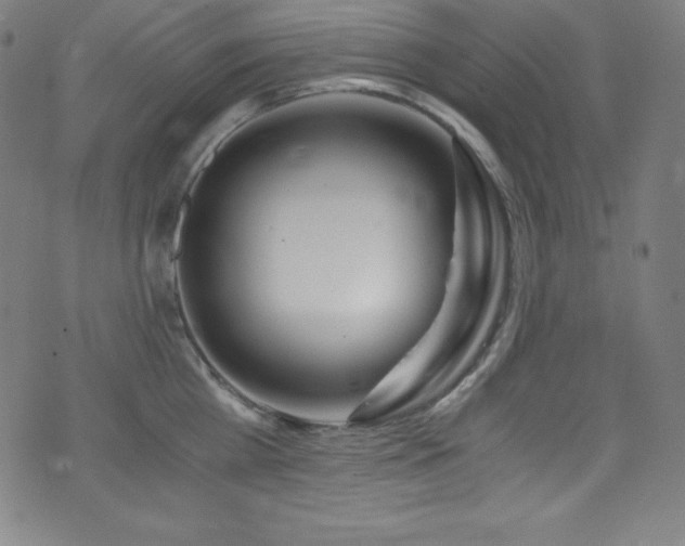 X0000073470809200607281241