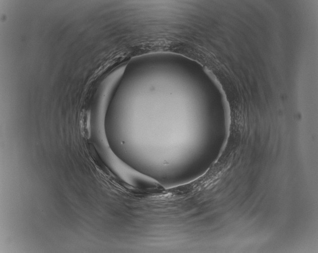 X0000073470818200607281240