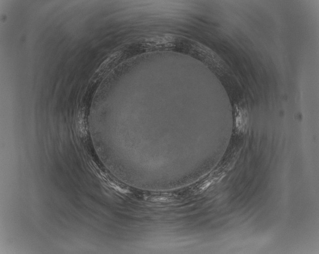 X0000073470819200607281240