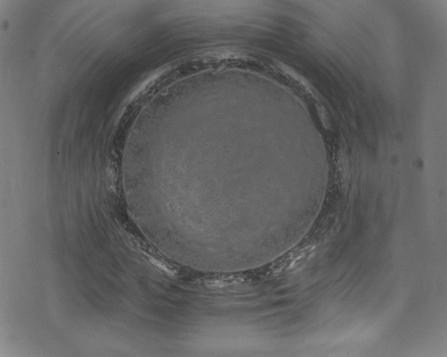 X0000073470823200607281240