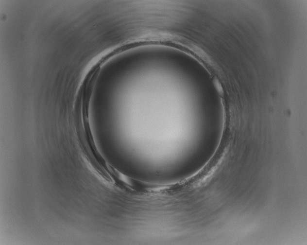 X0000073470838200607281241
