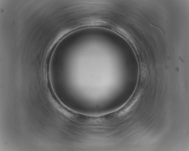 X0000073470843200607281241