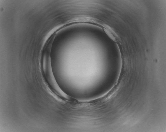 X0000073470846200607281241