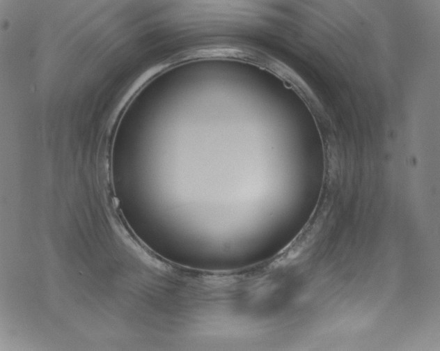 X0000073470852200607281241