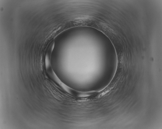 X0000073470868200607281240
