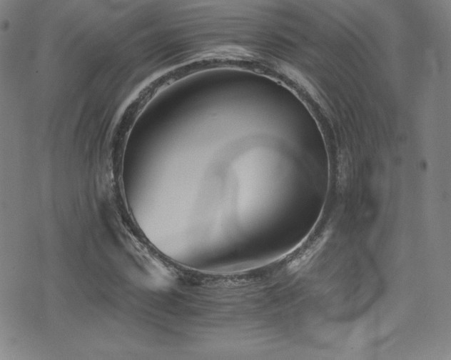 X0000073470923200607281239