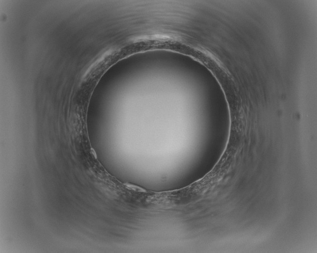 X0000073470967200607281238