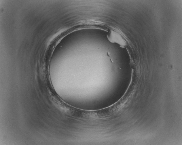 X0000073470971200607281238