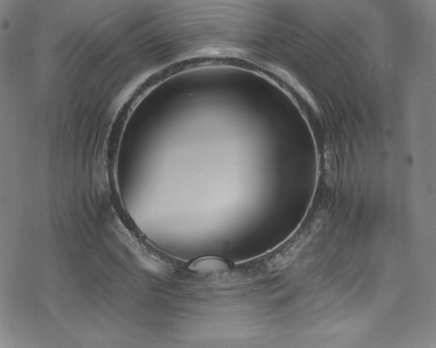 X0000073470972200607281238