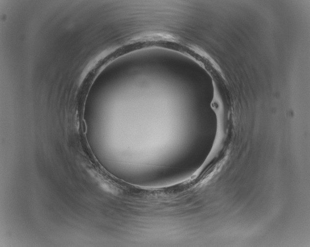 X0000073470973200607281238