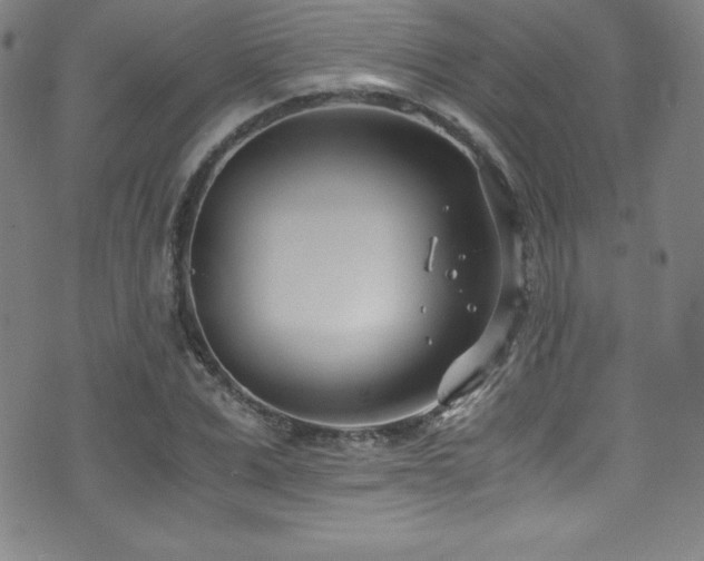 X0000073470975200607281238