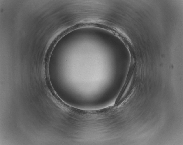 X0000073470976200607281238