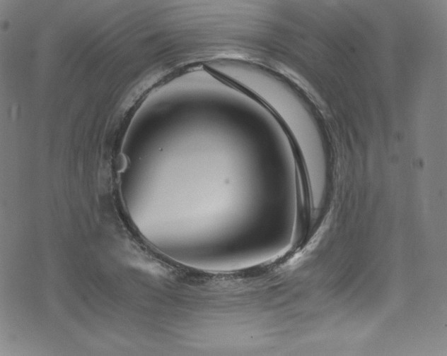 X0000073470977200607281238