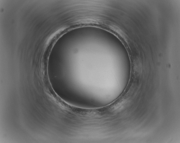 X0000073470979200607281238