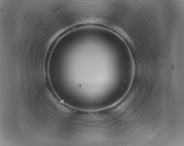 X0000073470980200607281238