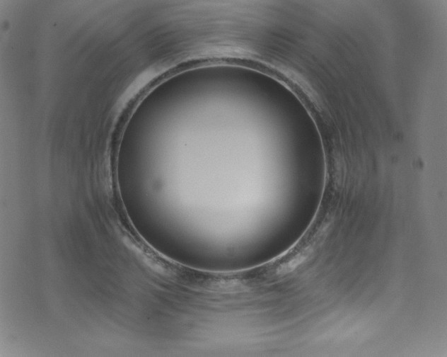 X0000073470982200607281238