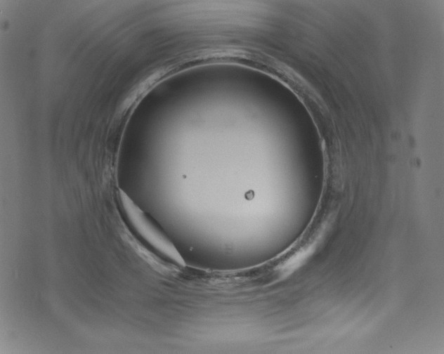 X0000073470985200607281238