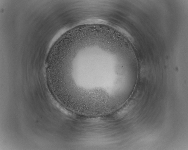 X0000073470990200607281238