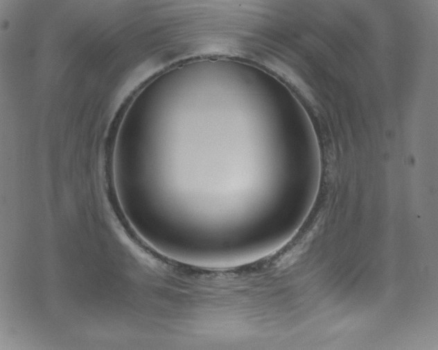 X0000073470991200607281238