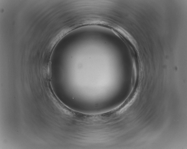 X0000073470993200607281238