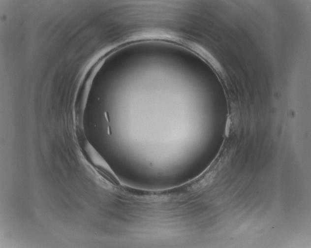 X0000073470996200607281238