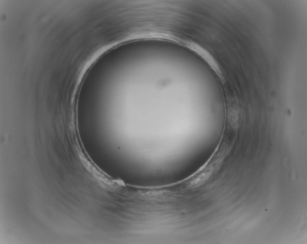 X0000073471004200607281238