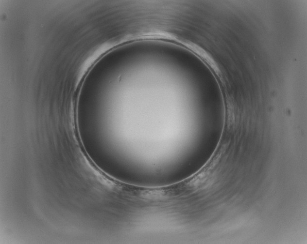 X0000073471006200607281238