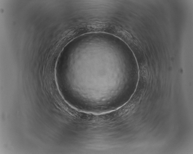 X0000073471009200607281237