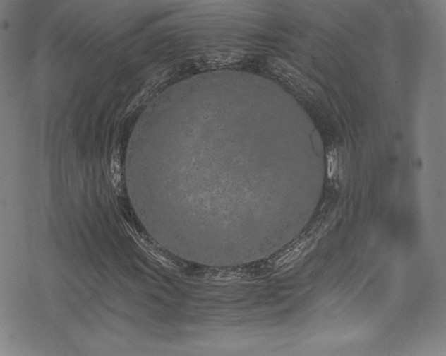 X0000073471011200607281237